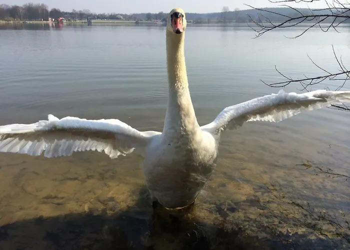 Haus Seewind * Hohenfelden